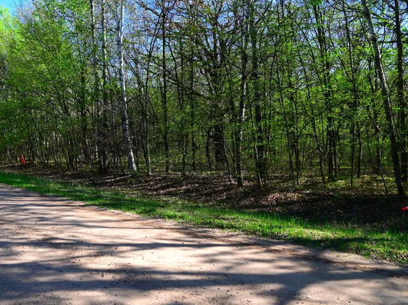 28329 Orchard Dr, Browerville, MN 56438