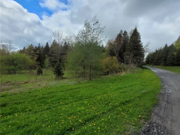 Owp Cogar Dr, Frankfort, NY 13340