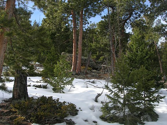 3rd image of 0 Moss Rock