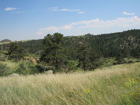 5th image of 1191 Granite Springs Rd