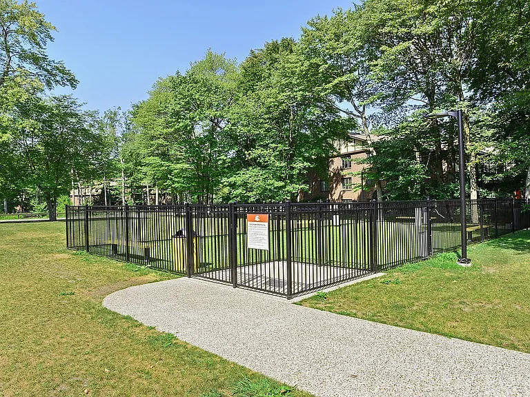 dogpark2