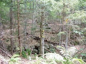 2nd image of 0 Old Stage Rd