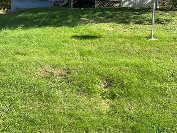 1306 S 3rd Ave, Ozark, MO 65721