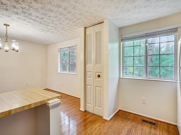 11504 Ivy Bush Ct — Photo 6