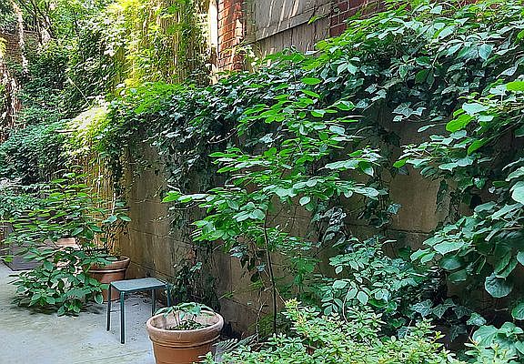 3rd image of 149 W 12th St APT 24