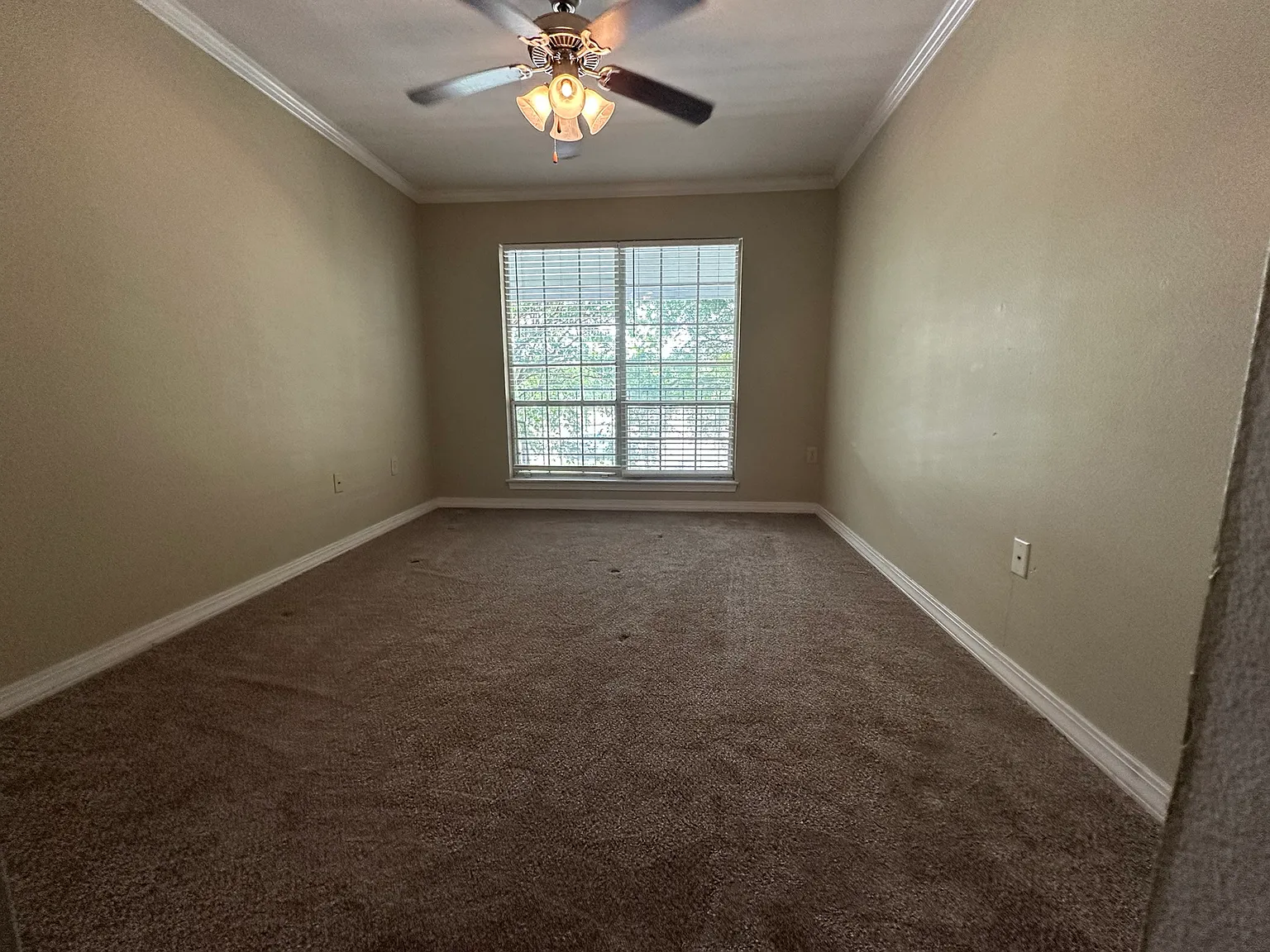 7950 Jefferson Hwy — Photo 4