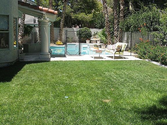 Plenty of yard for large play area/ swingset!
