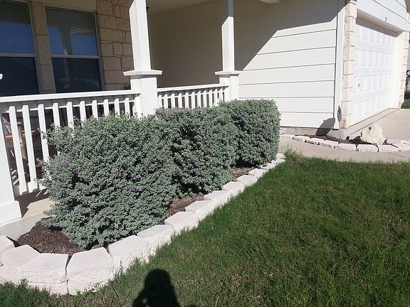 Flower Beds