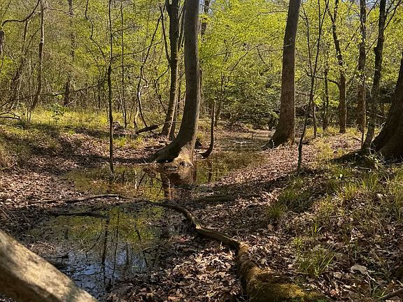 2nd image of Camp Rd