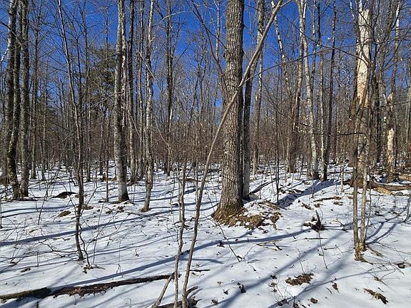 3rd image of Lot 90 Silver Birch Drive