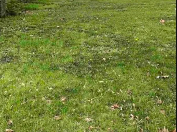 1111 NE Jefferson Ave, Peoria, IL 61603