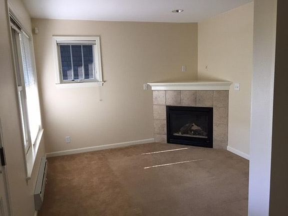 Gas Fireplace/Living Room