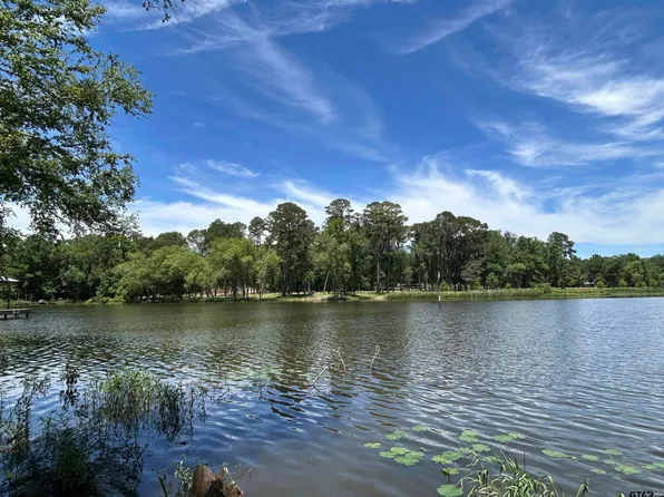 LOT Township Road 5 #B, Frankston, TX 75763