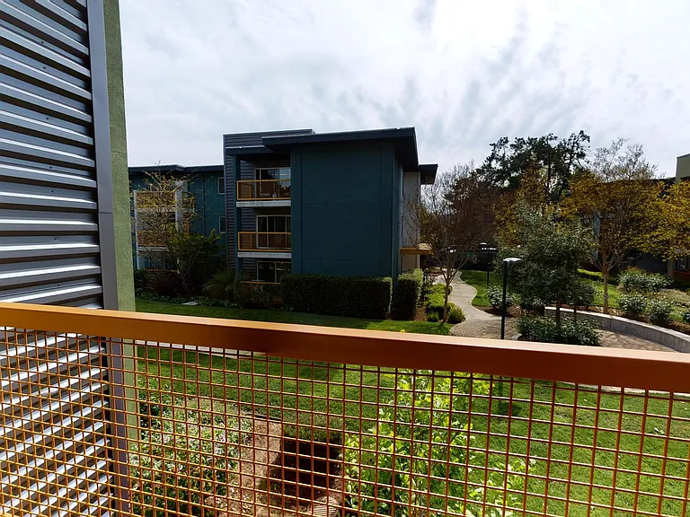 CitySouth — Photo 48