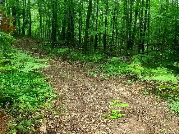 3rd image of Whippoorwill Dr