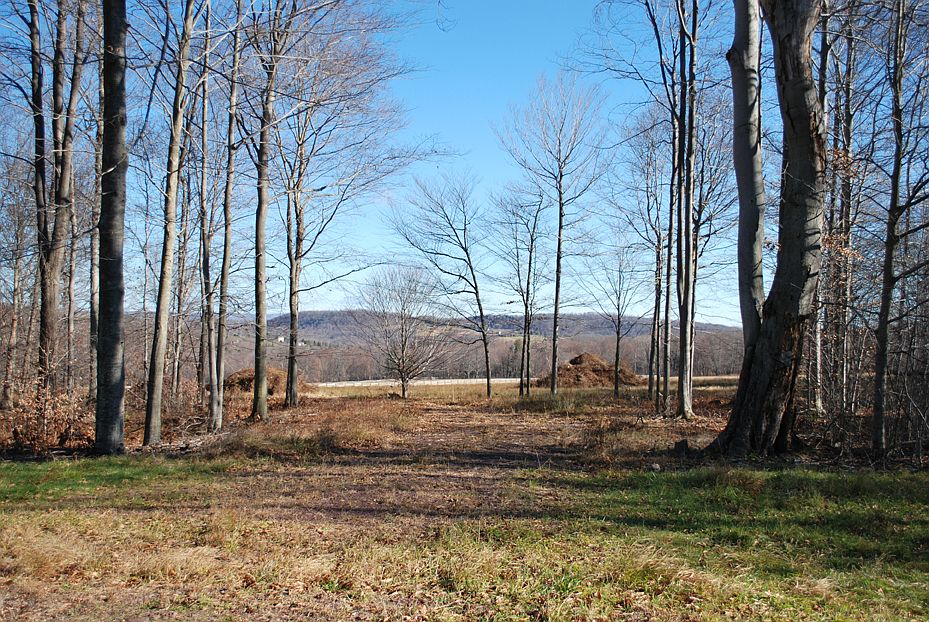 1st image of Lot 6 - Paddocks At Duckharbor