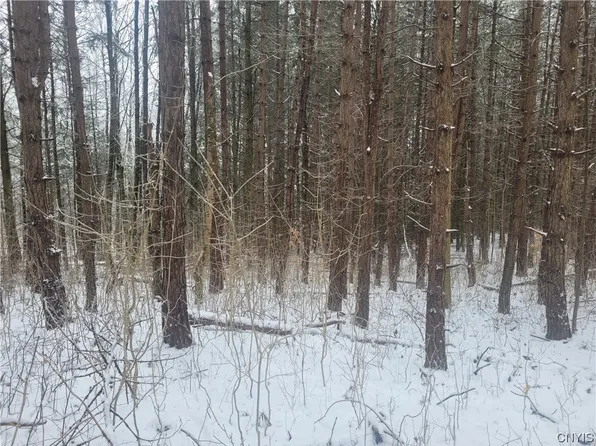 0 Barrett Rd Lot 30, Cazenovia, NY 13035