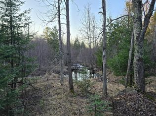 689 Dalton Rd, Skandia, MI 49885