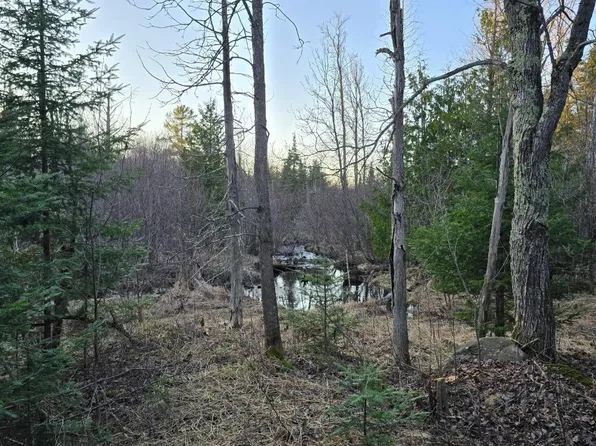689 Dalton Rd, Skandia, MI 49885