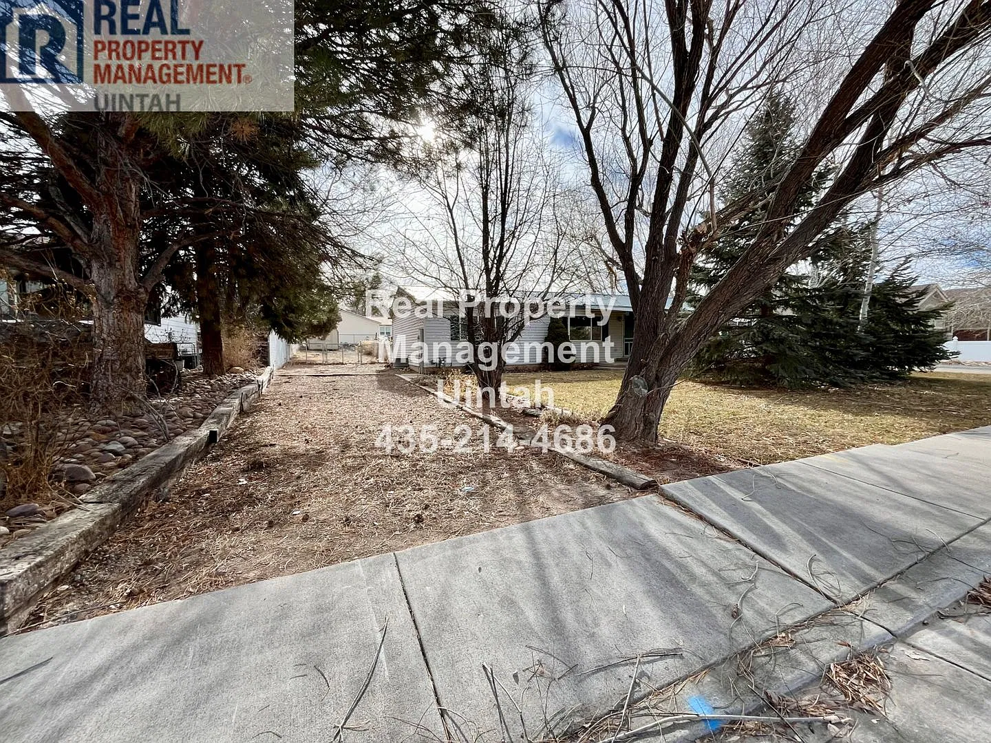 Cute 3-bedroom 2-bathroom house. — Photo 2