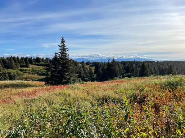 0 Da Mar Loop, Homer, AK 99603
