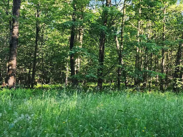 5 Carpenter Rd, Coudersport, PA 16915