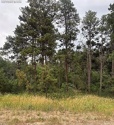 2nd image of 1455 Blueberry Hills Rd