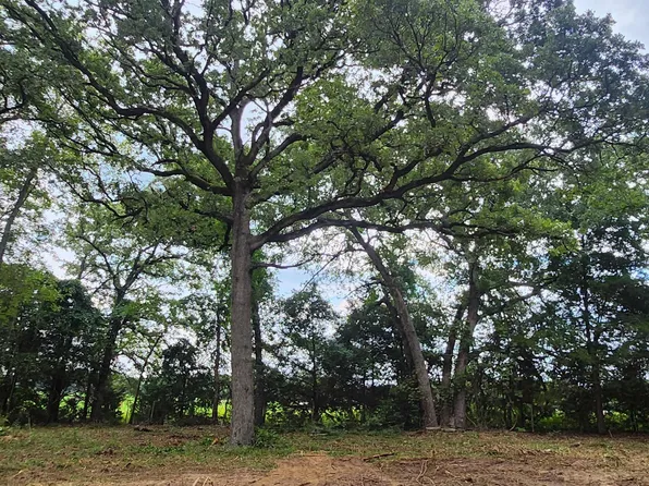 Lots 4 5 6 Holly Gln, Murchison, TX 75778