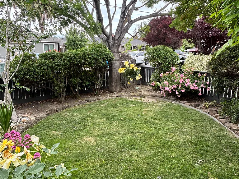 172 Wisteria Dr — Photo 42