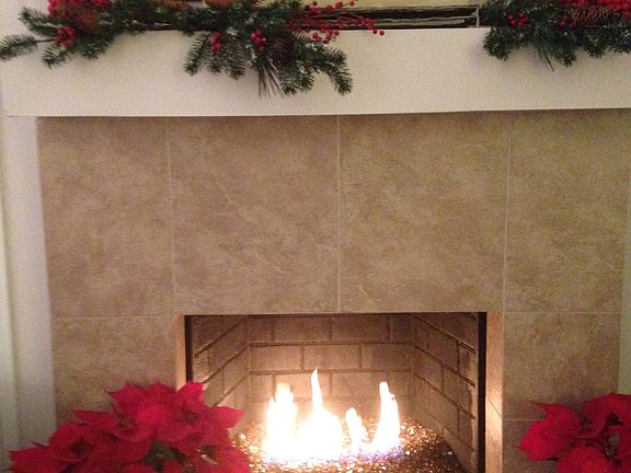 LR gas fireplace & glass