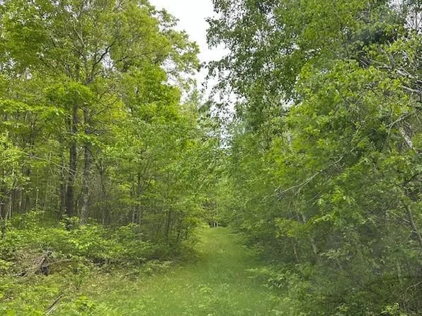 0 Summers Point Lane, Hayward, WI 54843