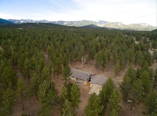 9 Bounty Hunter Ln, Bailey, CO 80421