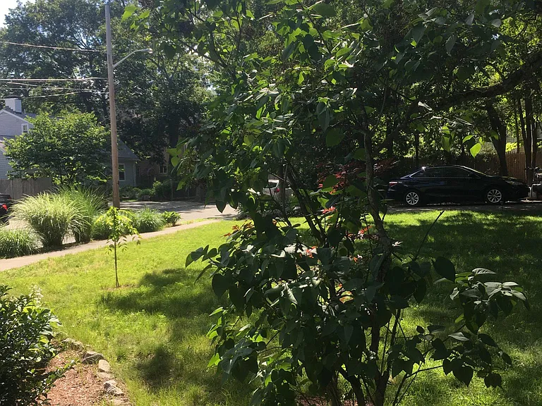 1013 Walnut St — Photo 16