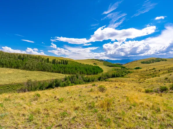 55 Little Horn Dr, Westcliffe, CO 81252