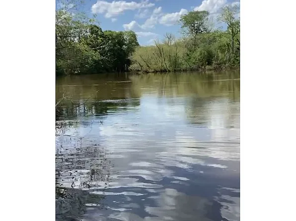 399 Martins Landing Rd, Jesup, GA 31546