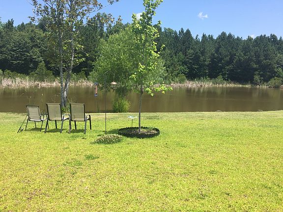 View of protected wetlands
