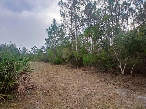 2094 Messer Rd, Carrabelle, FL 32322