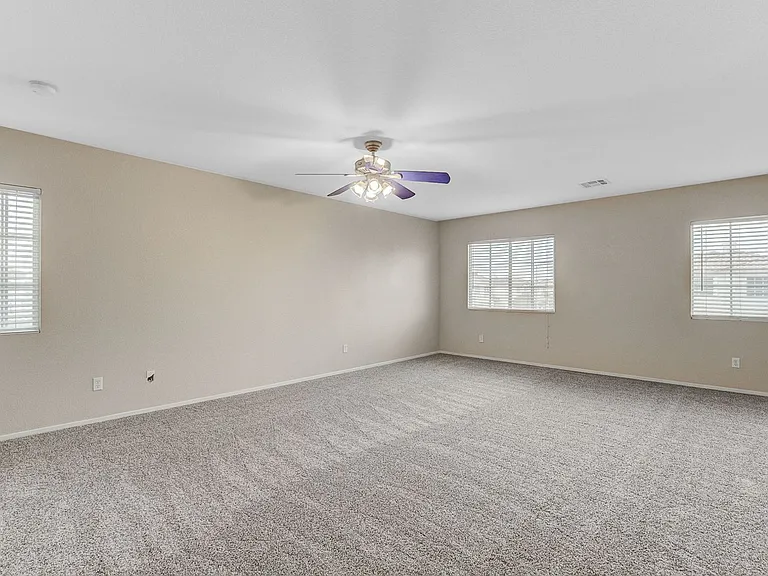 10115 Lemon Thyme St — Photo 30