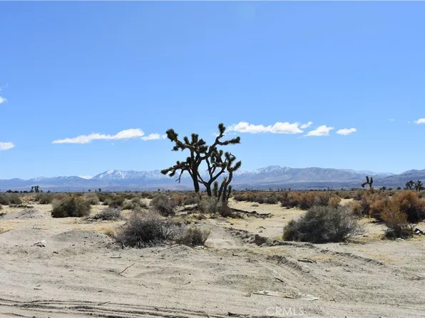 0 Vic Avenue 77th Est #Q, Palmdale, CA 93552