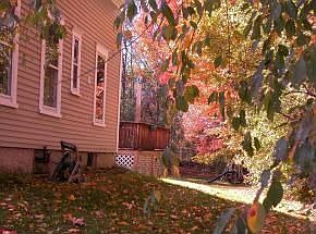 side  and back yard