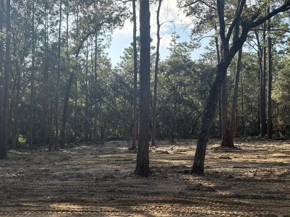 409 EDGEHILL Road, Satsuma, FL 32189