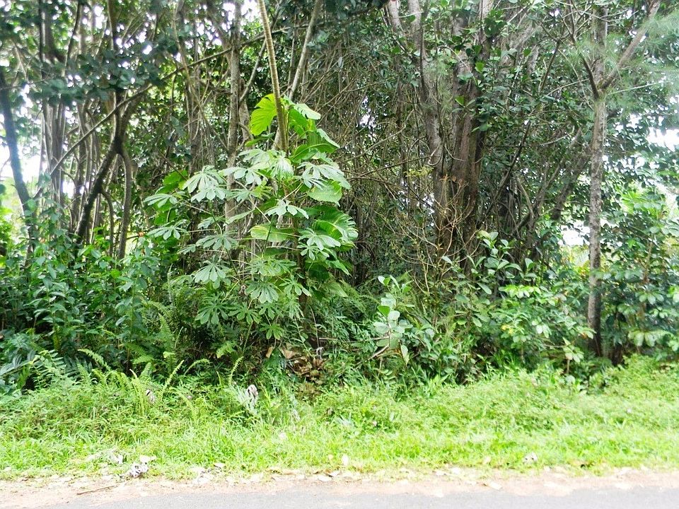 1st image of Paradise Ala Kai Dr Lot 436