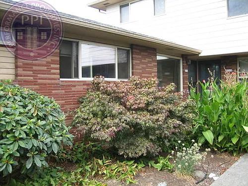 bal6090 Photo 1