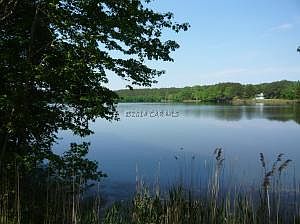 4th image of 8038 Pintail Dr