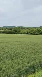 513 Suzanne Way Lot 15, Bethpage, TN, 37022