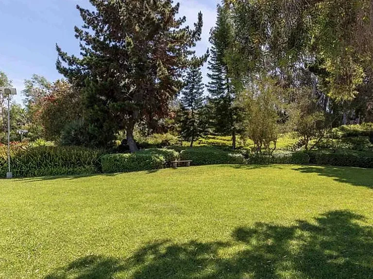 4304 Black Duck Way — Photo 12
