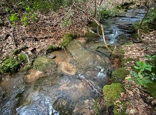 2.29 Kristen Ln, Ellijay, GA 30540