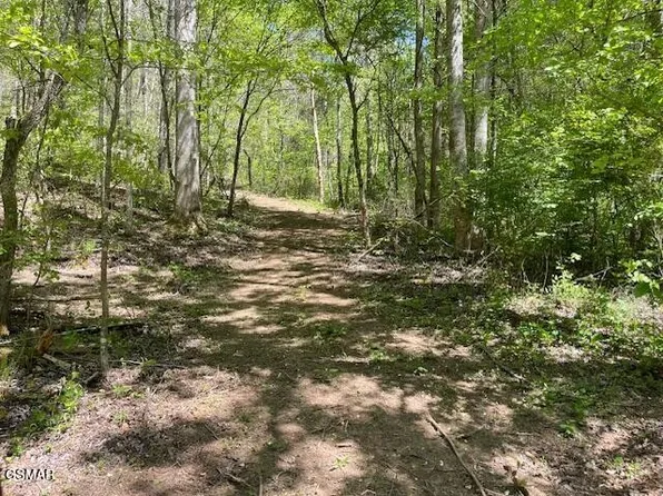 0 Jason Place Jones Cove Road Off, Sevierville, TN 37876