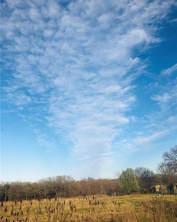 1st image of 10067 County Road 2446