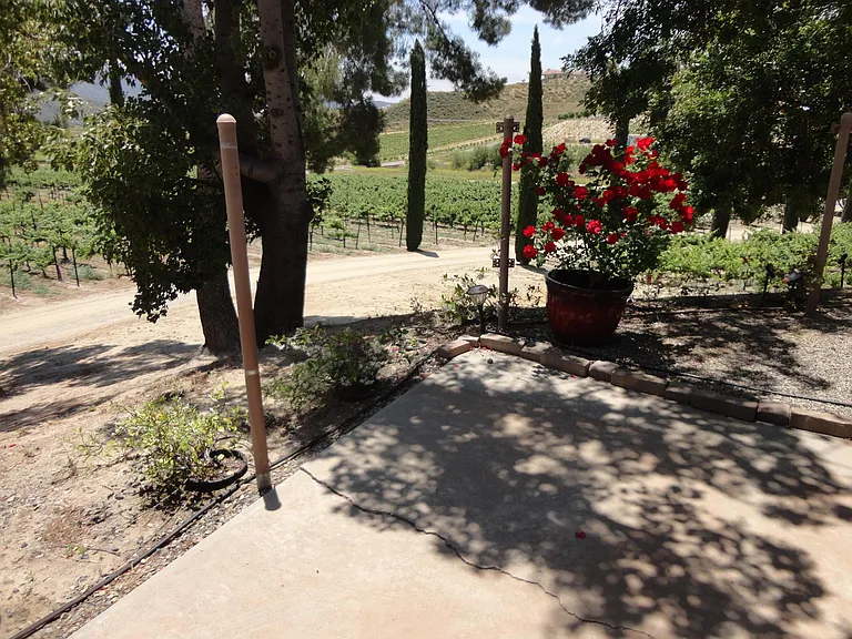 37850 De Portola Rd — Photo 49